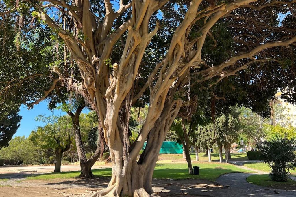 בנאלמדנה Estudio Aguila Con Vistas Al Mar מראה חיצוני תמונה